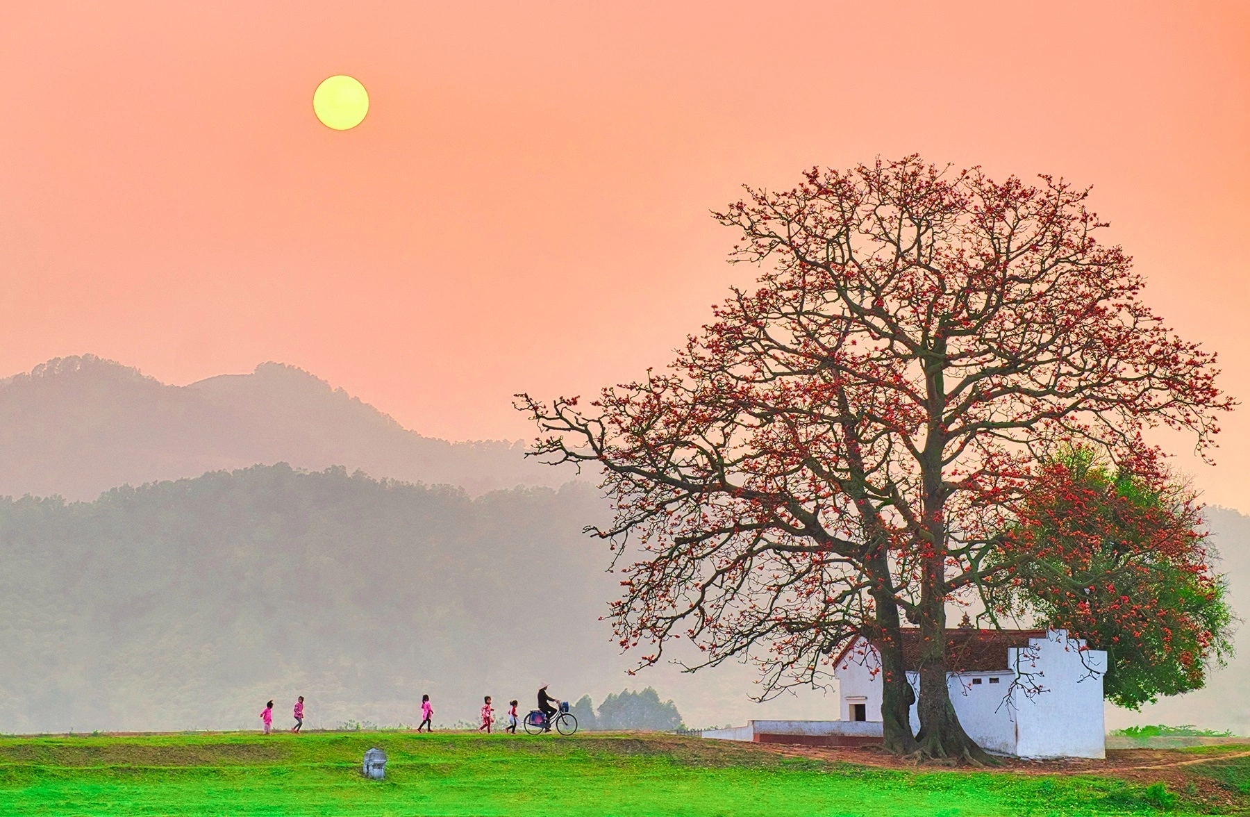 Xe Ghép Phú Thọ Bắc Giang - Ảnh 4